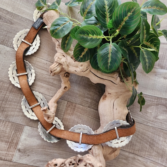 Brighton Brown Leather Sunflower Concho Belt - Picture 6 of 15